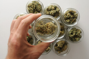 dried Cannabis in containers